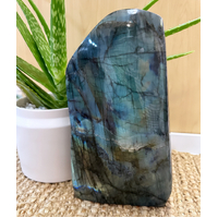 Labradorite Freeform | 4.72kg