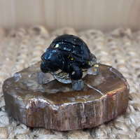 Black Tourmaline Turtle