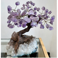 Amethyst Bonsai Tree