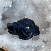 Sodalite Turtle