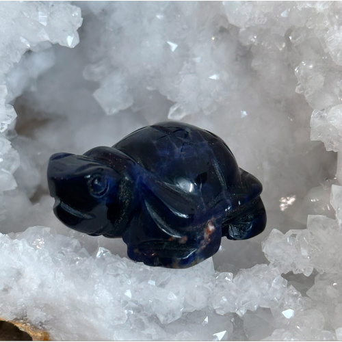 Sodalite Turtle